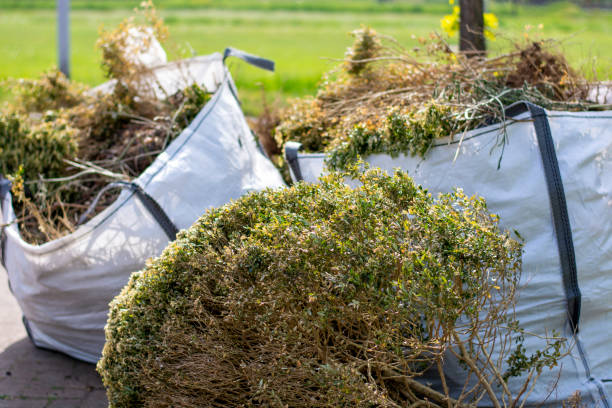 Best Yard Waste Removal  in Scotts Hill, TN