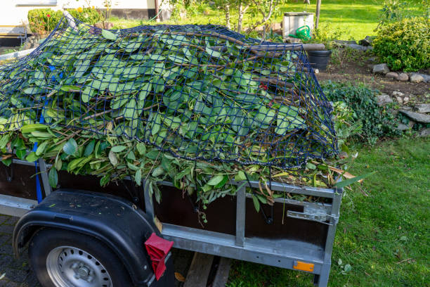 Best Commercial Junk Removal  in Scotts Hill, TN